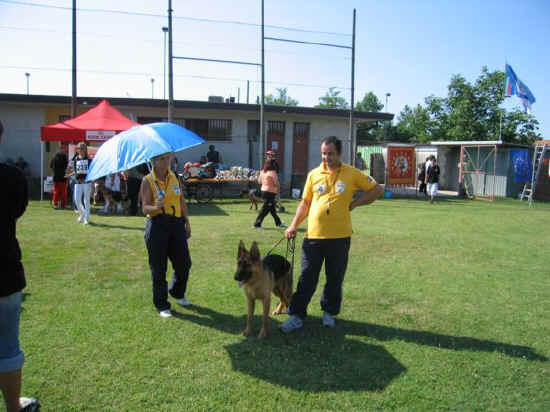 raduno sas di Treviso 2007