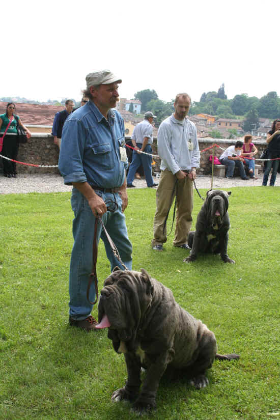 Raduno razze italiane di Volta Mantovana 2008