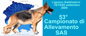 campionato allevamento sas