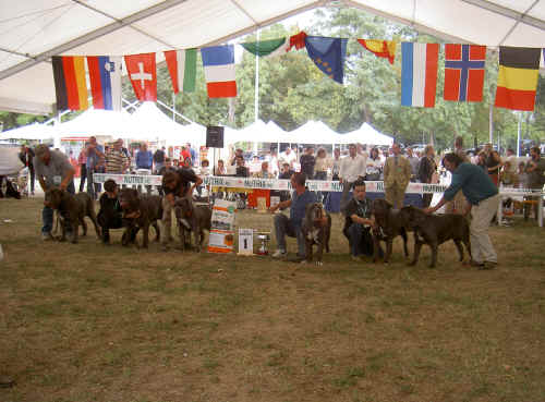 trofeo mario querci 2003