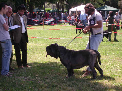 castruccio nel ring a Prato 2006