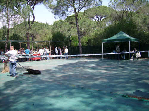 il ring di grosseto 2006