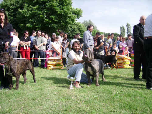 premiazione nel ring d'onore di Prato 2006