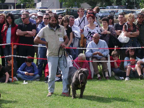 Ring d'Onore a Prato 2006