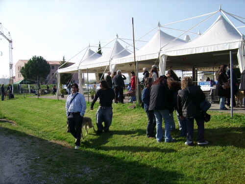 expo di siena 2006