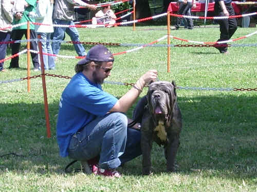 Esposizione canina di prato 2006