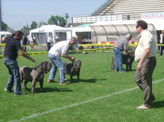 Esposizione canina nazionale di Empoli 2007