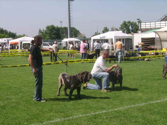 Esposizione canina nazionale di Empoli 2007