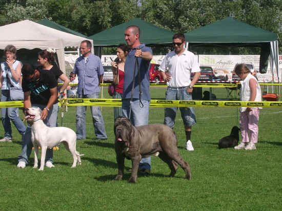 empoli 2007