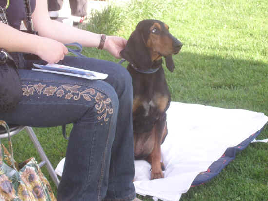 Esposizione canina nazionale di Empoli 2007