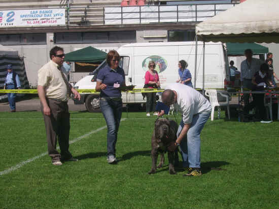 Esposizione canina nazionale di Empoli 2007