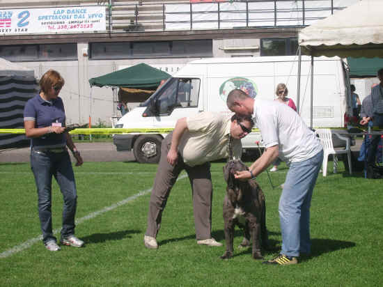 Esposizione canina nazionale di Empoli 2007