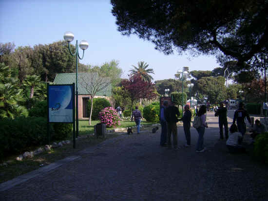 cacib livorno 2007