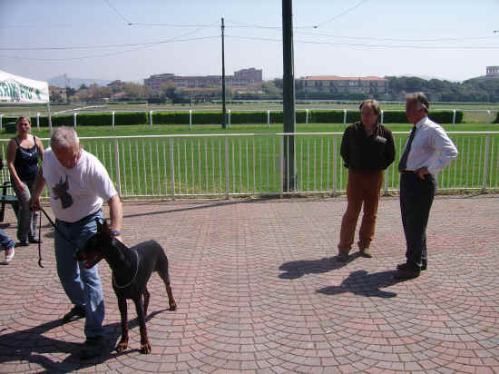 cacib livorno 2007