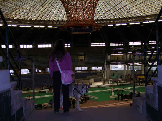 Esposizione internazionale canina di Genova 2007
