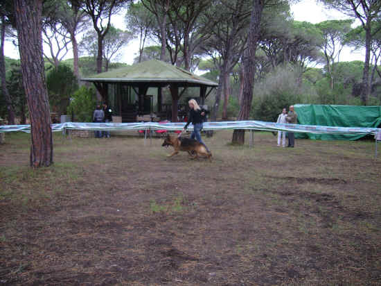 Esposizione canina nazionale di Grosseto 2007