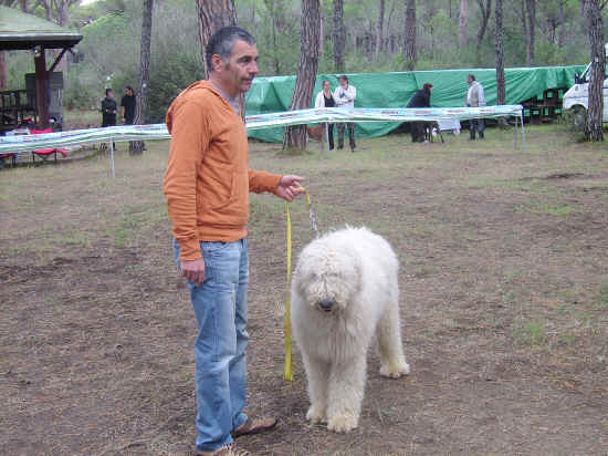 Esposizione canina nazionale di Grosseto 2007
