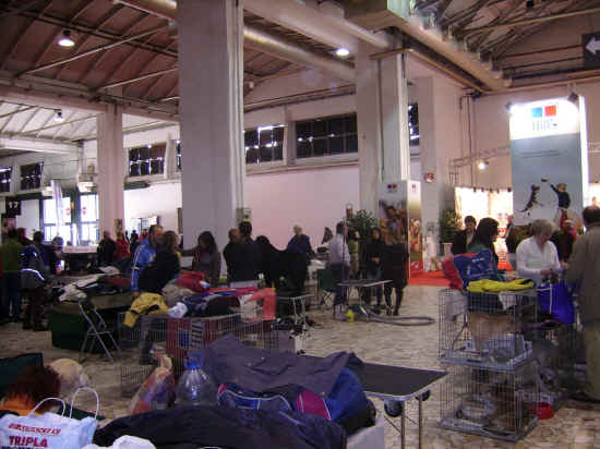 Esposizione di Milano 2007