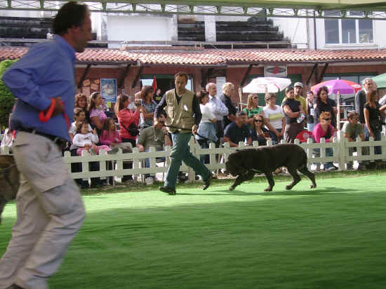 ring d'onore a san marino 2007