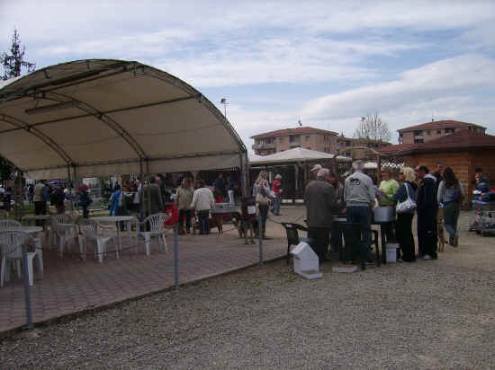 esposizione nazionale canina di siena 2007