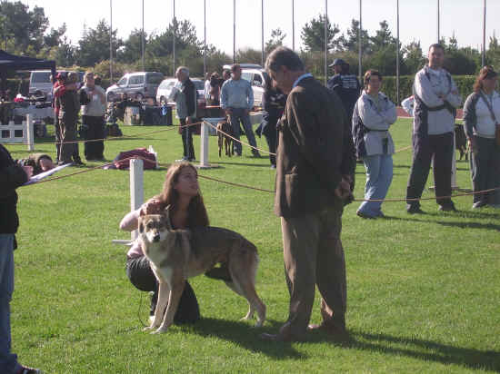 Esposizione Internazionale di Viterbo 2007