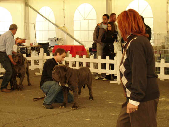 Esposizione Internazionale di Viterbo 2007