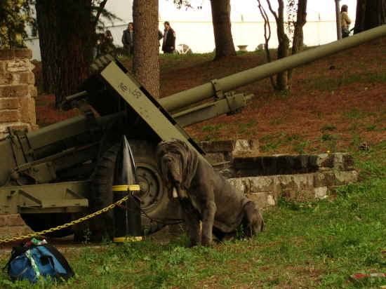 Esposizione Internazionale di Viterbo 2007