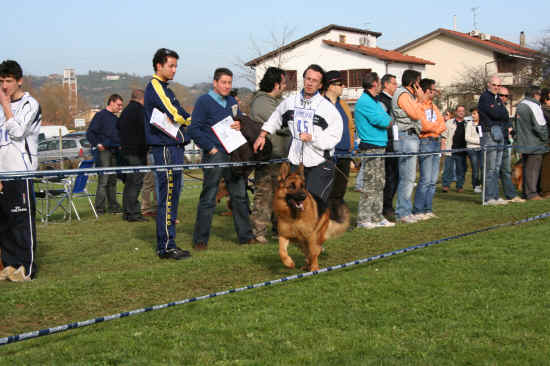 Raduno Nazionale S.A.S. di Pisa-Valdinievole 2008