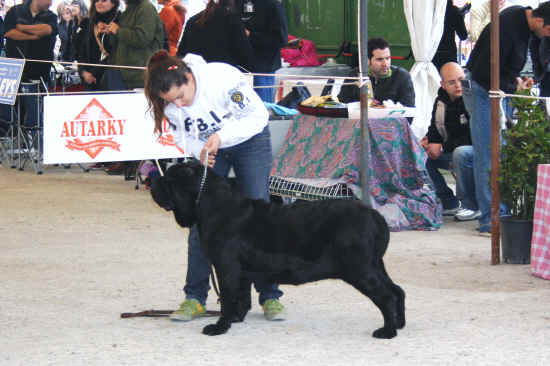 Nazionale di Ponte a Tressa 2008