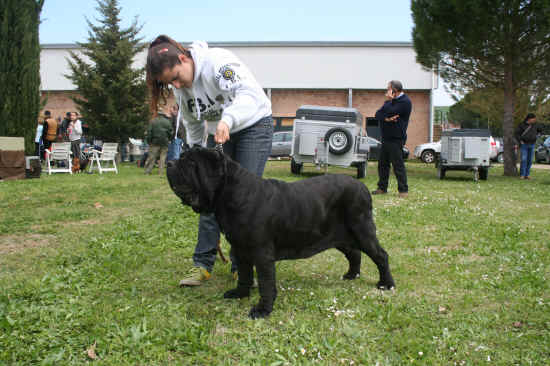 Nazionale di Ponte a Tressa 2008