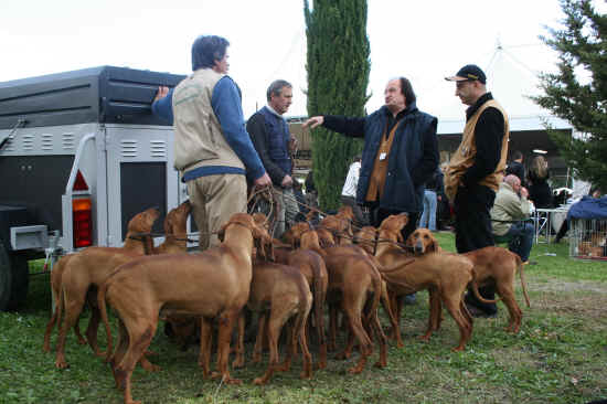 Nazionale di Ponte a Tressa 2008