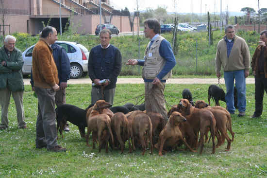 Nazionale di Ponte a Tressa 2008