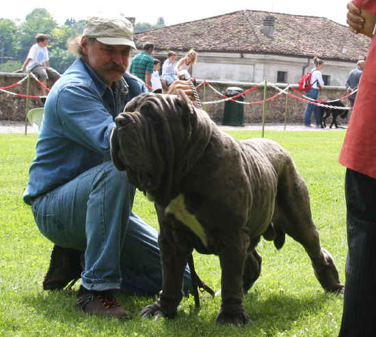 Eolofeo a Volta Mantovana 2008