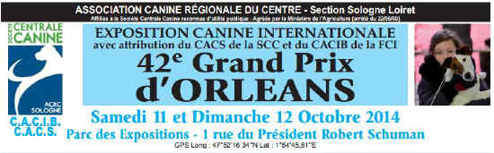 Exposition canine d'Orlans