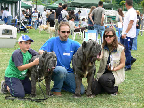 esposizione canina di poggibonsi